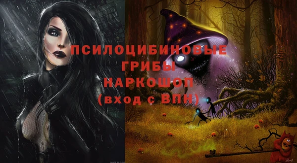 соль ск Лиски